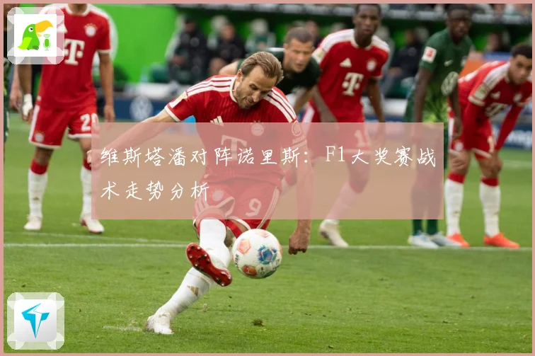 维斯塔潘对阵诺里斯：F1大奖赛战术走势分析