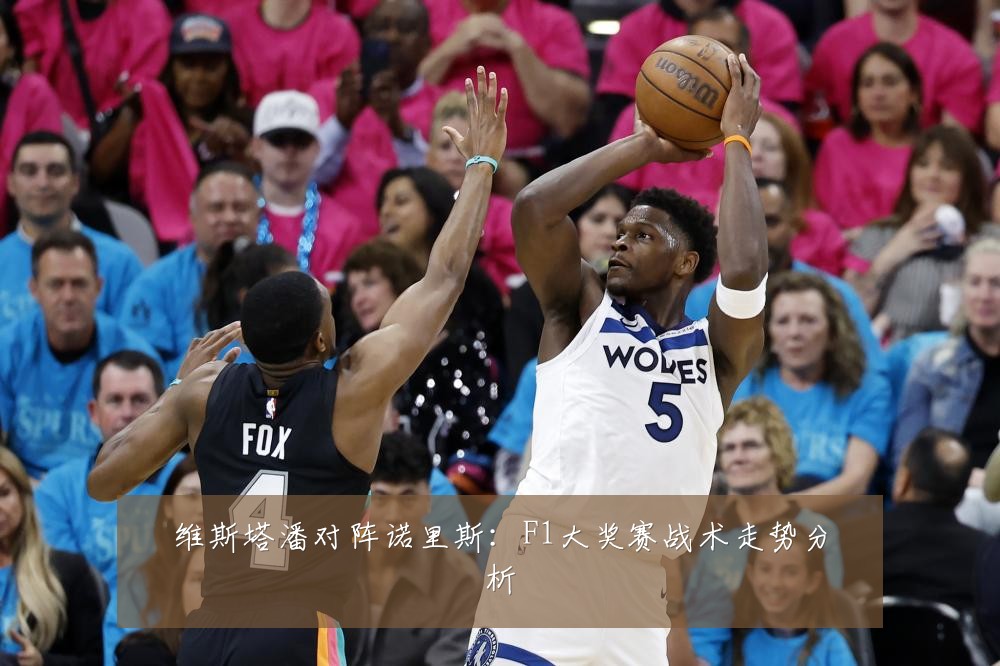 维斯塔潘对阵诺里斯：F1大奖赛战术走势分析